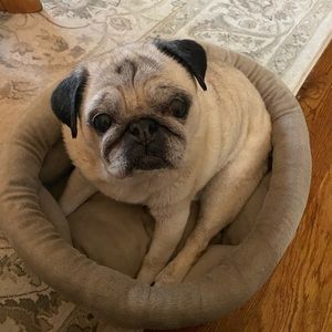 Meet your Posher, Robyn